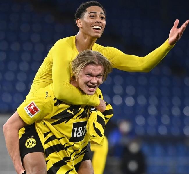 本文将为您 本文将为您